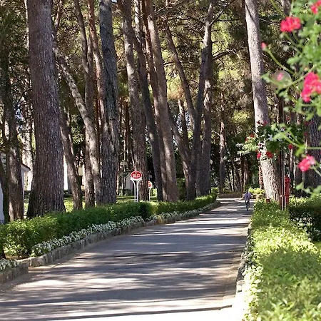 Village Galijot Plava Laguna 4* 포레치