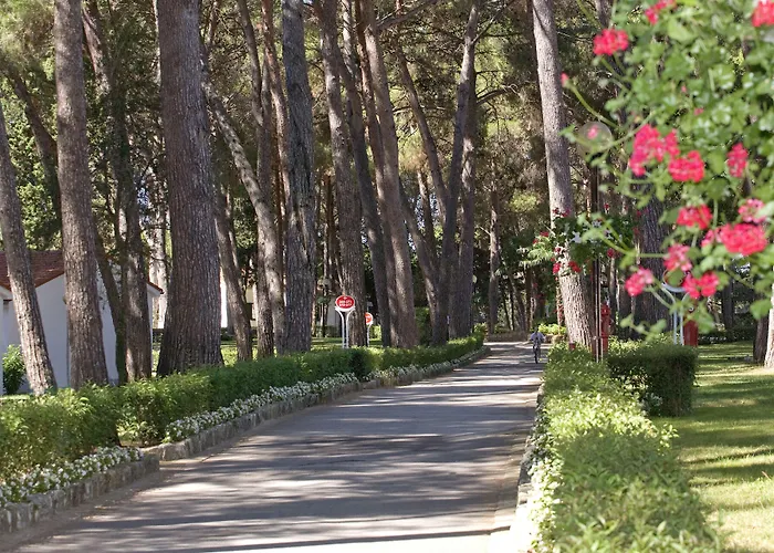 Village Galijot Plava Laguna Szálloda